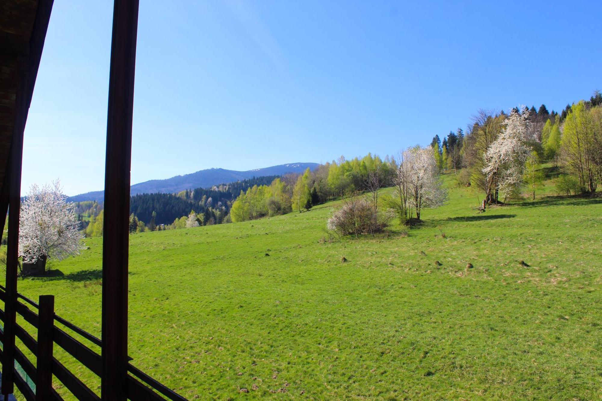 Panorama *